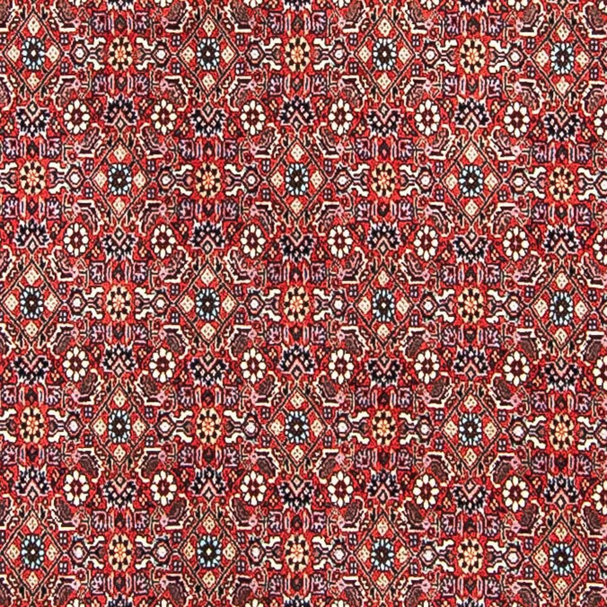 Alfombra persa - Bidjar - 297 x 249 cm - rojo claro
