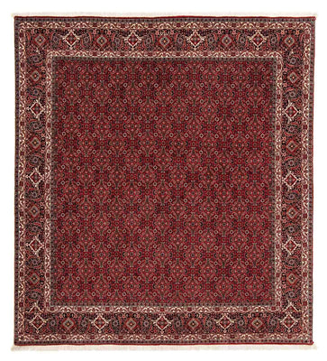 Alfombra persa - Bidjar cuadrado  - 212 x 206 cm - rojo oscuro