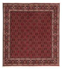 Alfombra persa - Bidjar cuadrado  - 212 x 206 cm - rojo oscuro