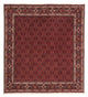 Bidjar Alfombra 206x212cm - Alfombra persa