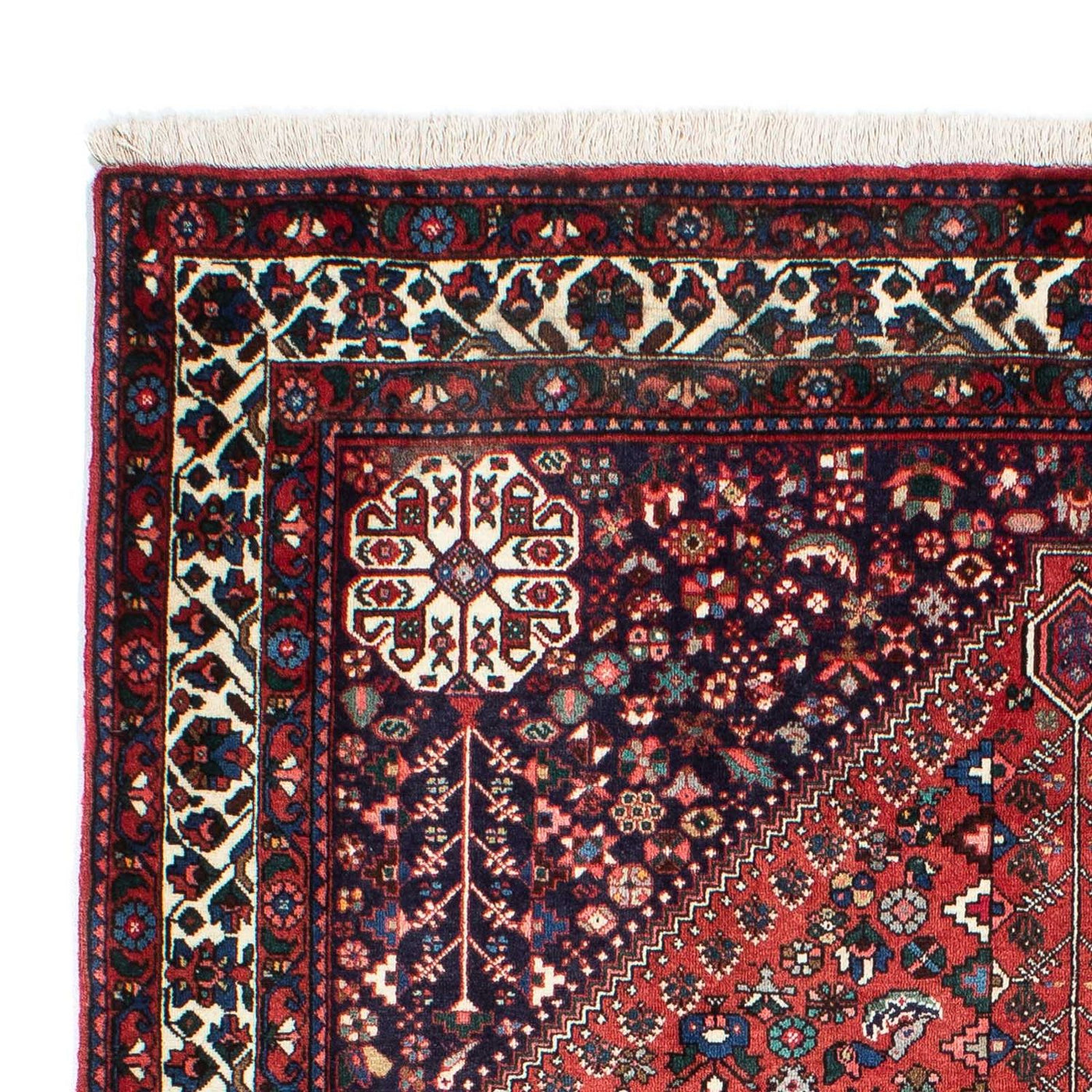 Kaschkuli Alfombra 203x153cm - Alfombra persa