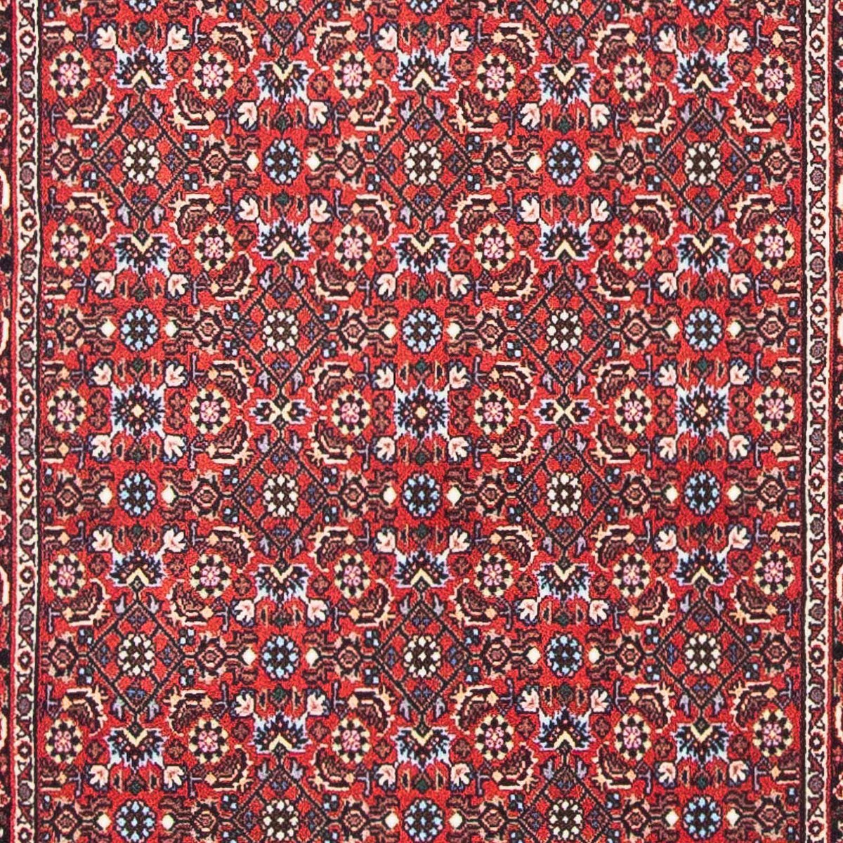 Alfombra persa - Bidjar - 139 x 70 cm - rojo