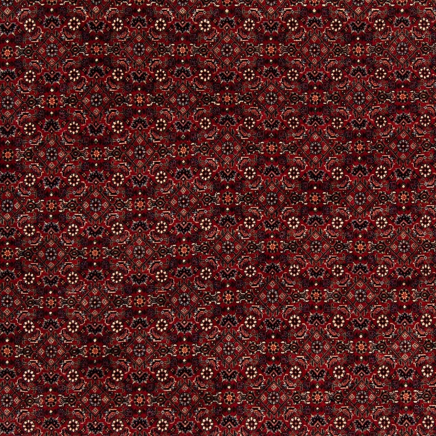 Alfombra persa - Bidjar cuadrado  - 212 x 205 cm - rojo oscuro