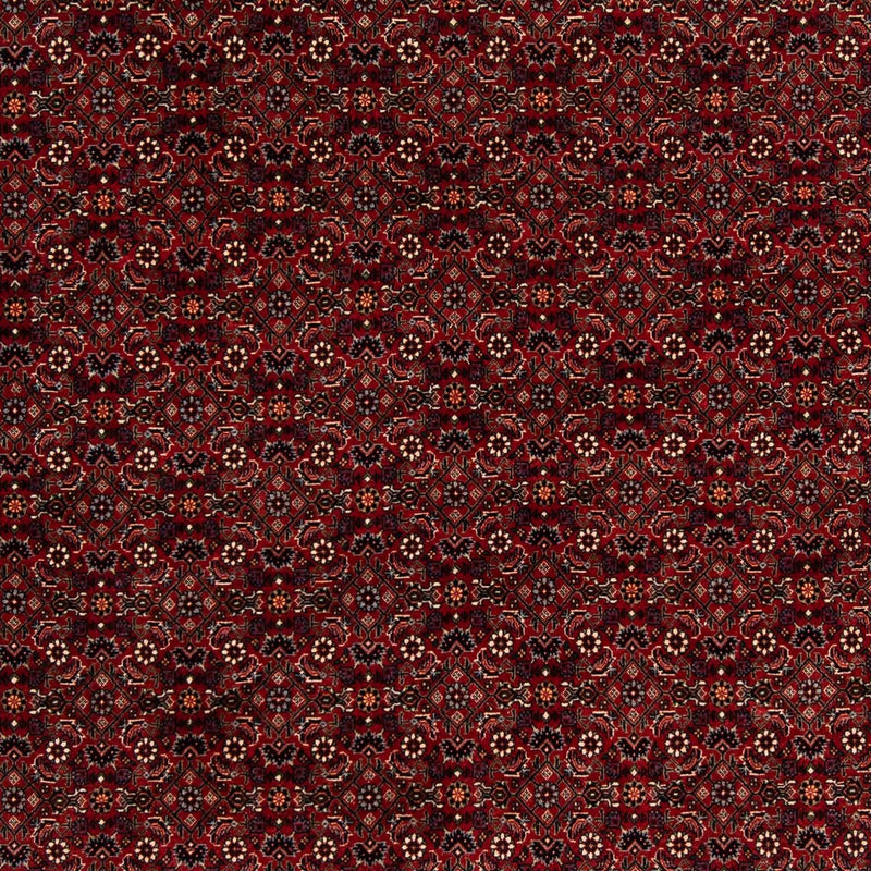 Alfombra persa - Bidjar cuadrado  - 212 x 205 cm - rojo oscuro