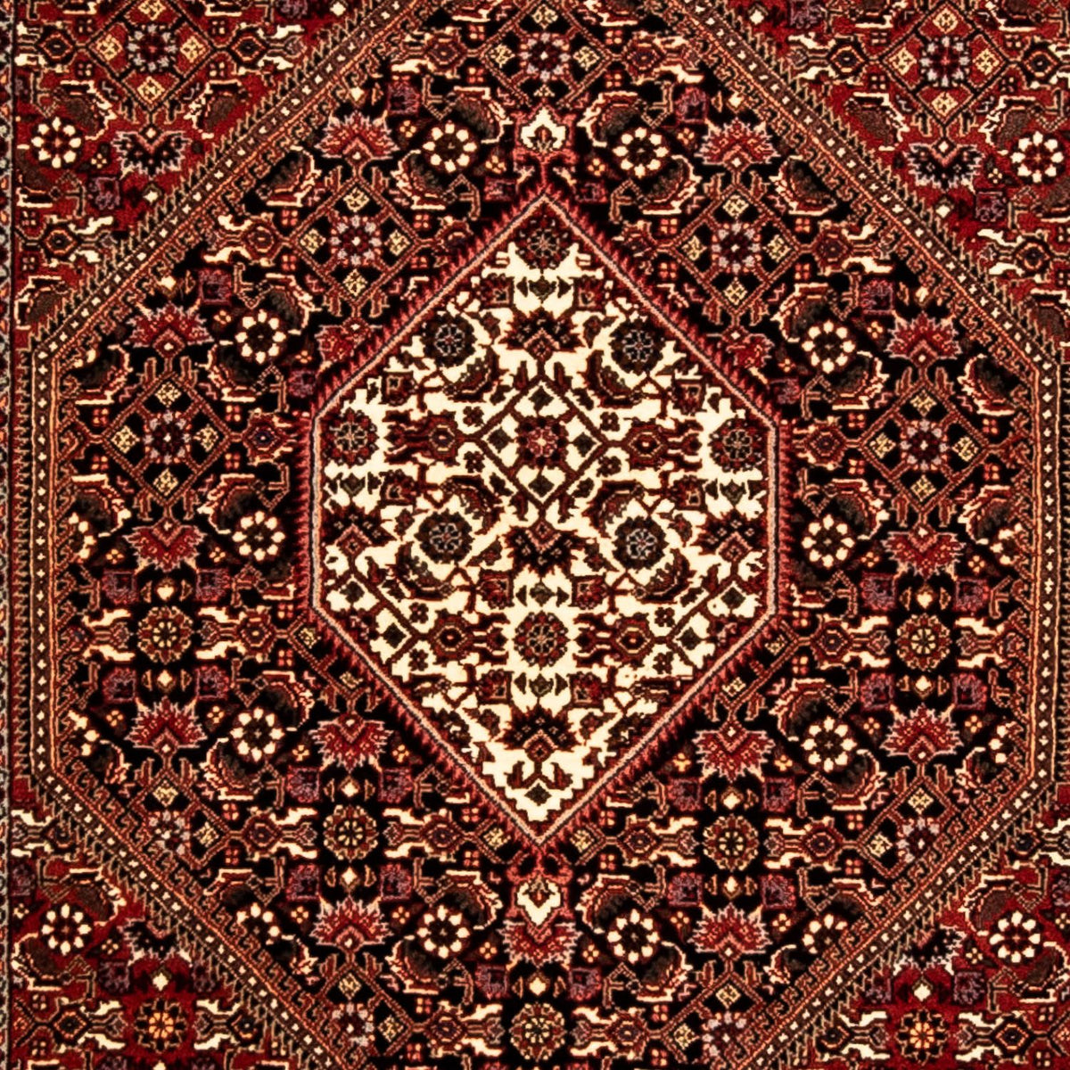 Alfombra de pasillo Alfombra persa - Bidjar - 293 x 84 cm - multicolor