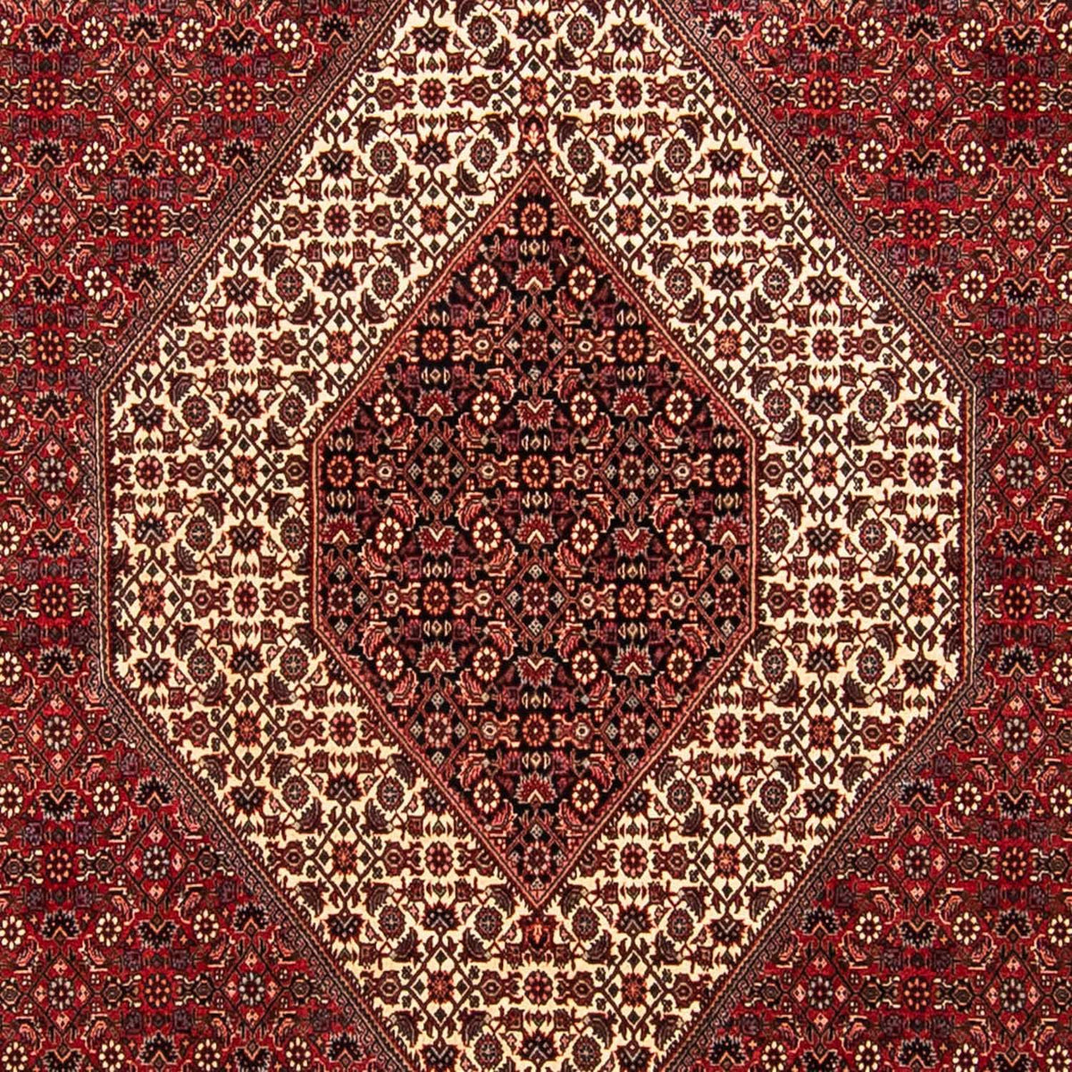 Alfombra persa - Bidjar - 304 x 251 cm - rojo oscuro