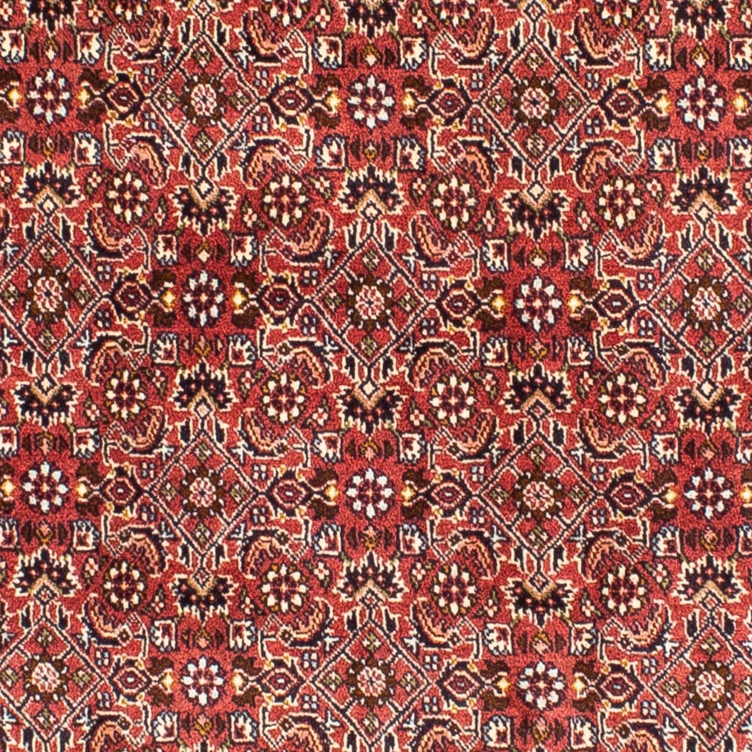Alfombra persa - Bidjar cuadrado  - 197 x 190 cm - rojo claro