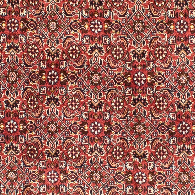 Alfombra persa - Bidjar cuadrado  - 197 x 190 cm - rojo claro