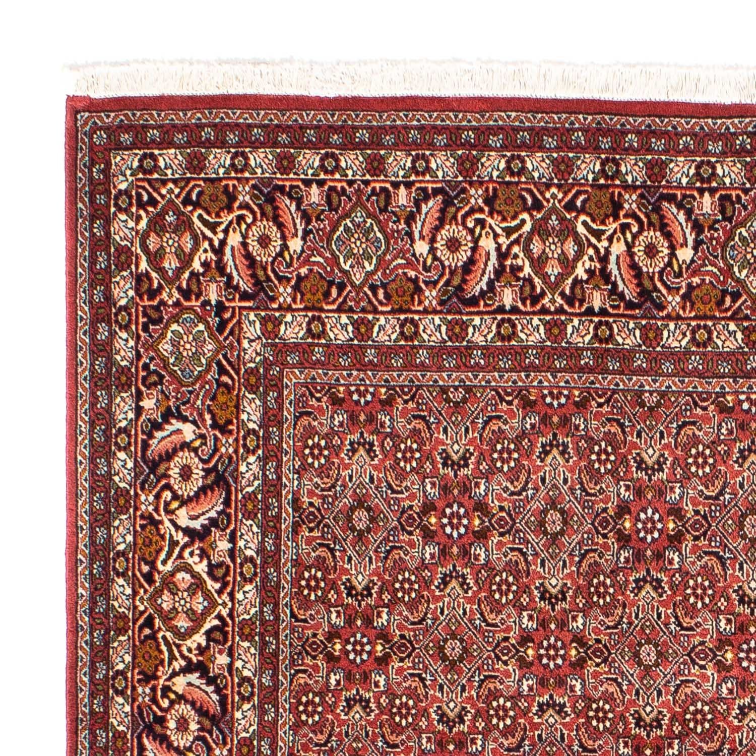 Alfombra persa - Bidjar cuadrado  - 197 x 190 cm - rojo claro