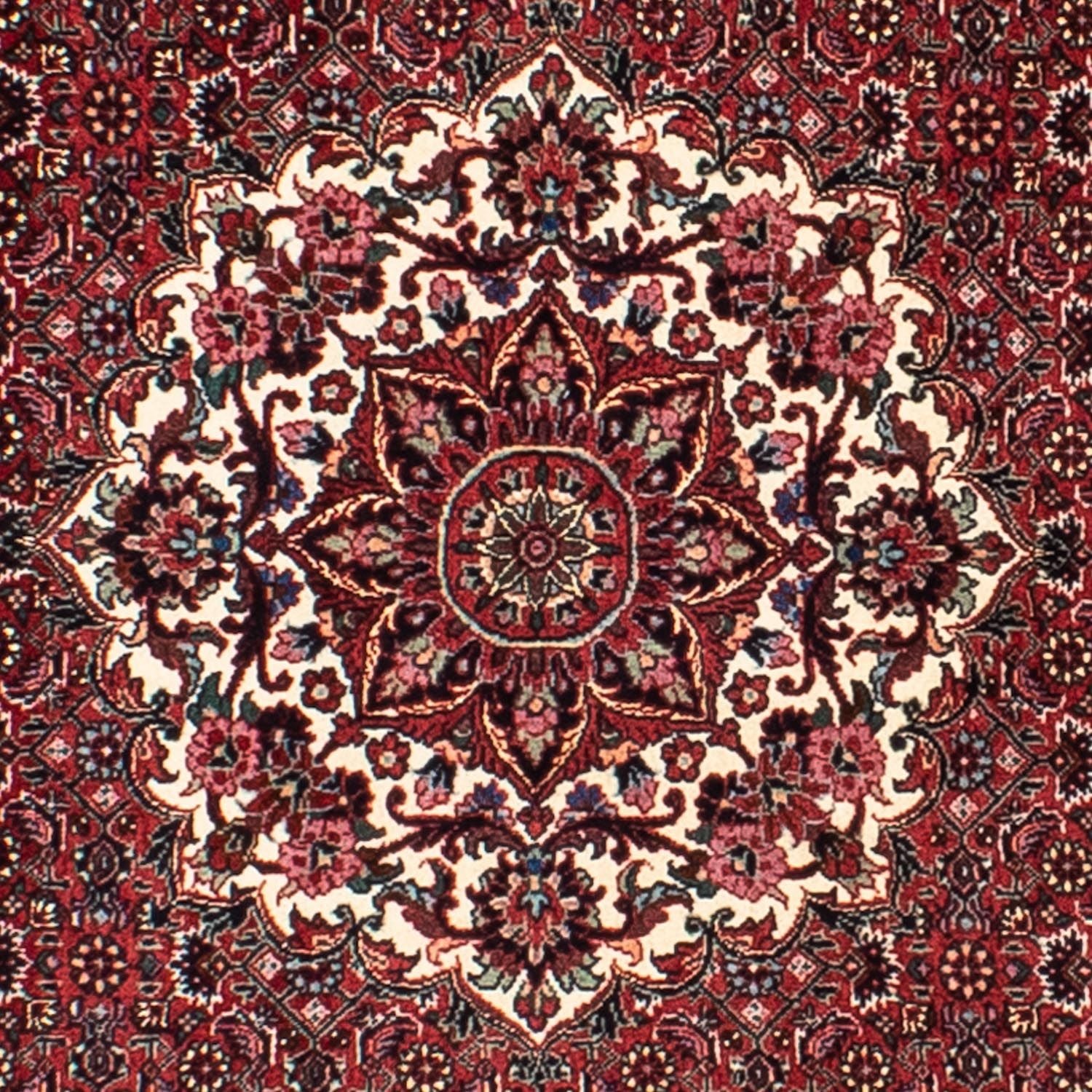Alfombra persa - Bidjar redondo  - 150 x 150 cm - rojo oscuro
