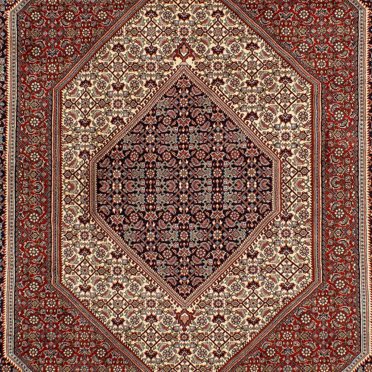 Alfombra persa - Bidjar - 292 x 210 cm - multicolor