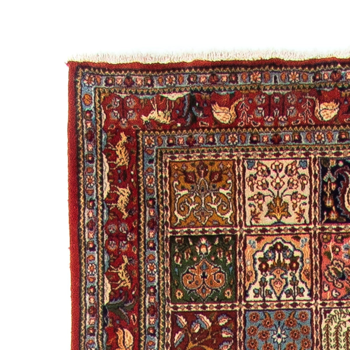 Alfombra de pasillo Alfombra persa - Clásica - 590 x 80 cm - rojo