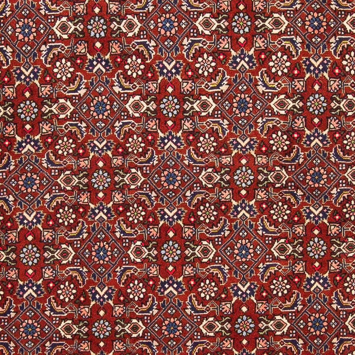 Alfombra persa - Bidjar - 160 x 108 cm - rojo oscuro