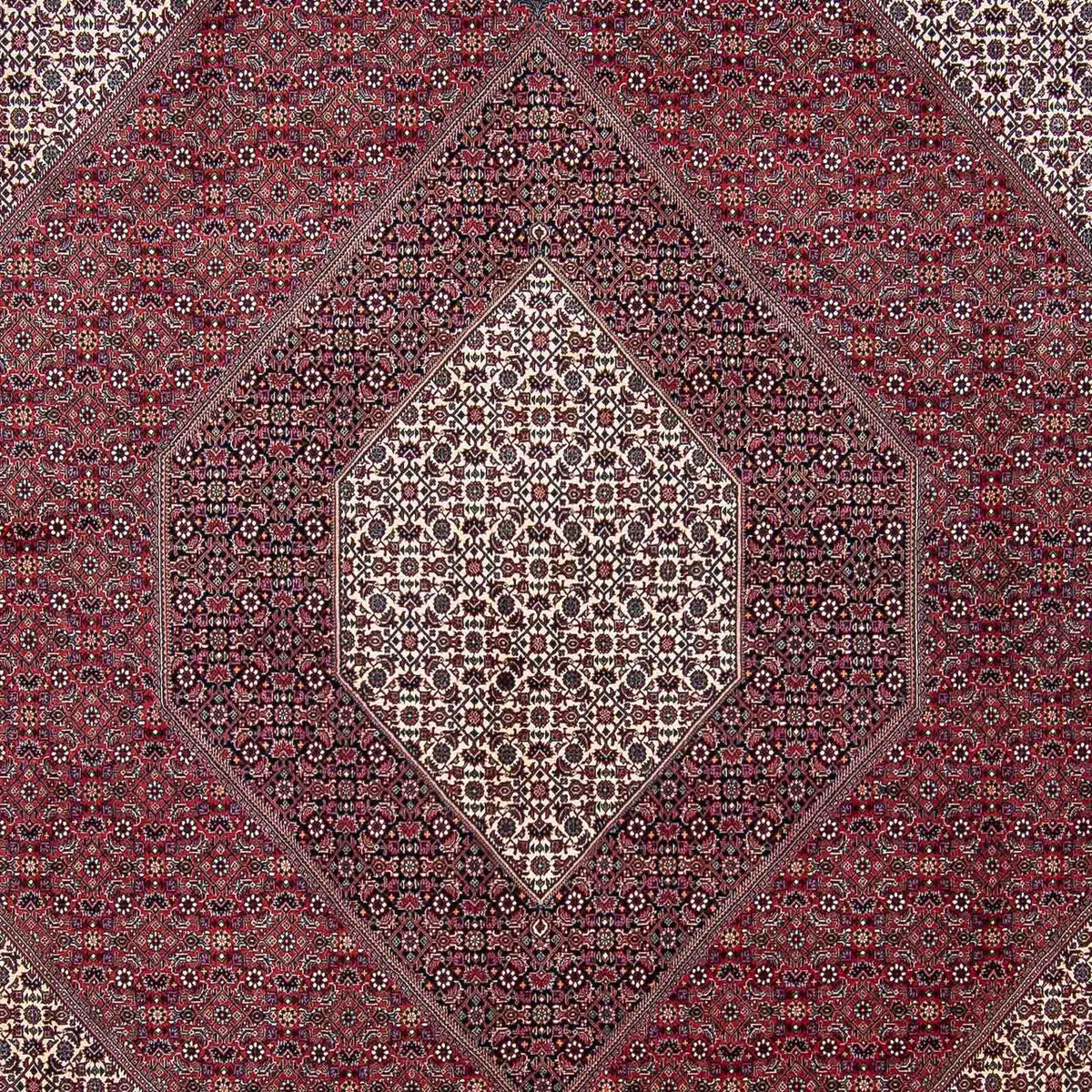 Alfombra persa - Bidjar - 340 x 300 cm - rojo oscuro