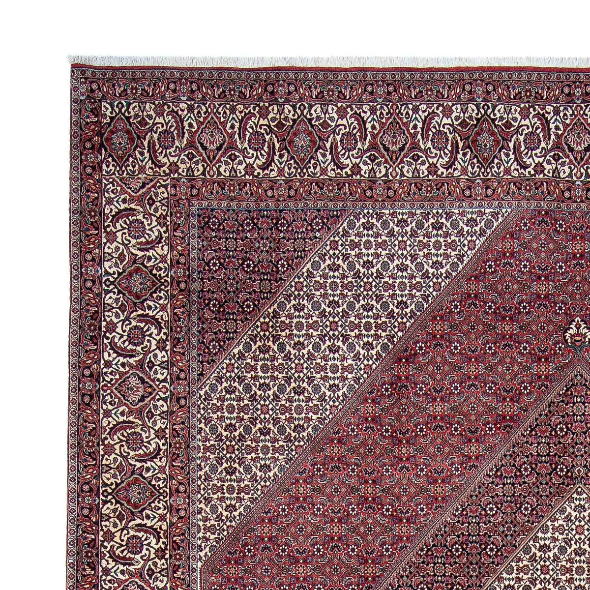 Bidjar Alfombra 300x340cm - Alfombra persa