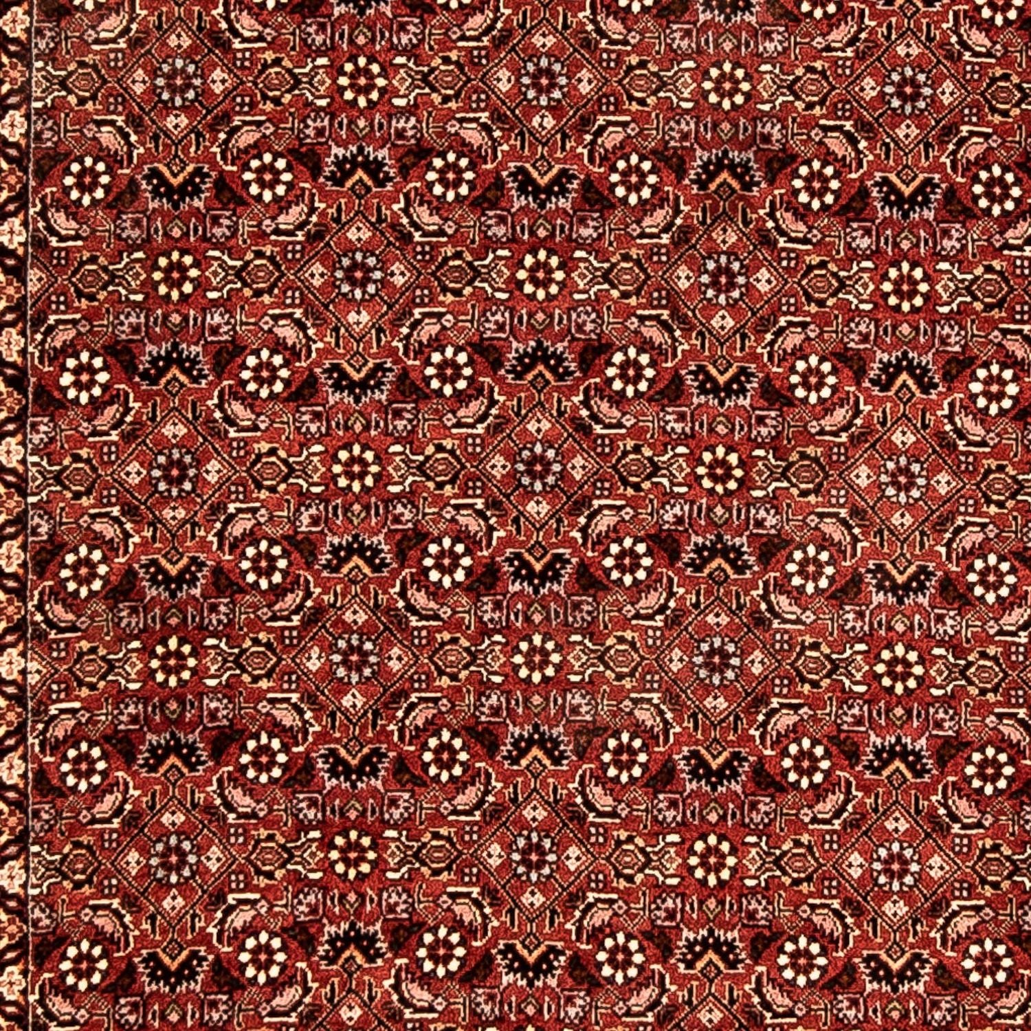Alfombra de pasillo Alfombra persa - Bidjar - 298 x 82 cm - multicolor