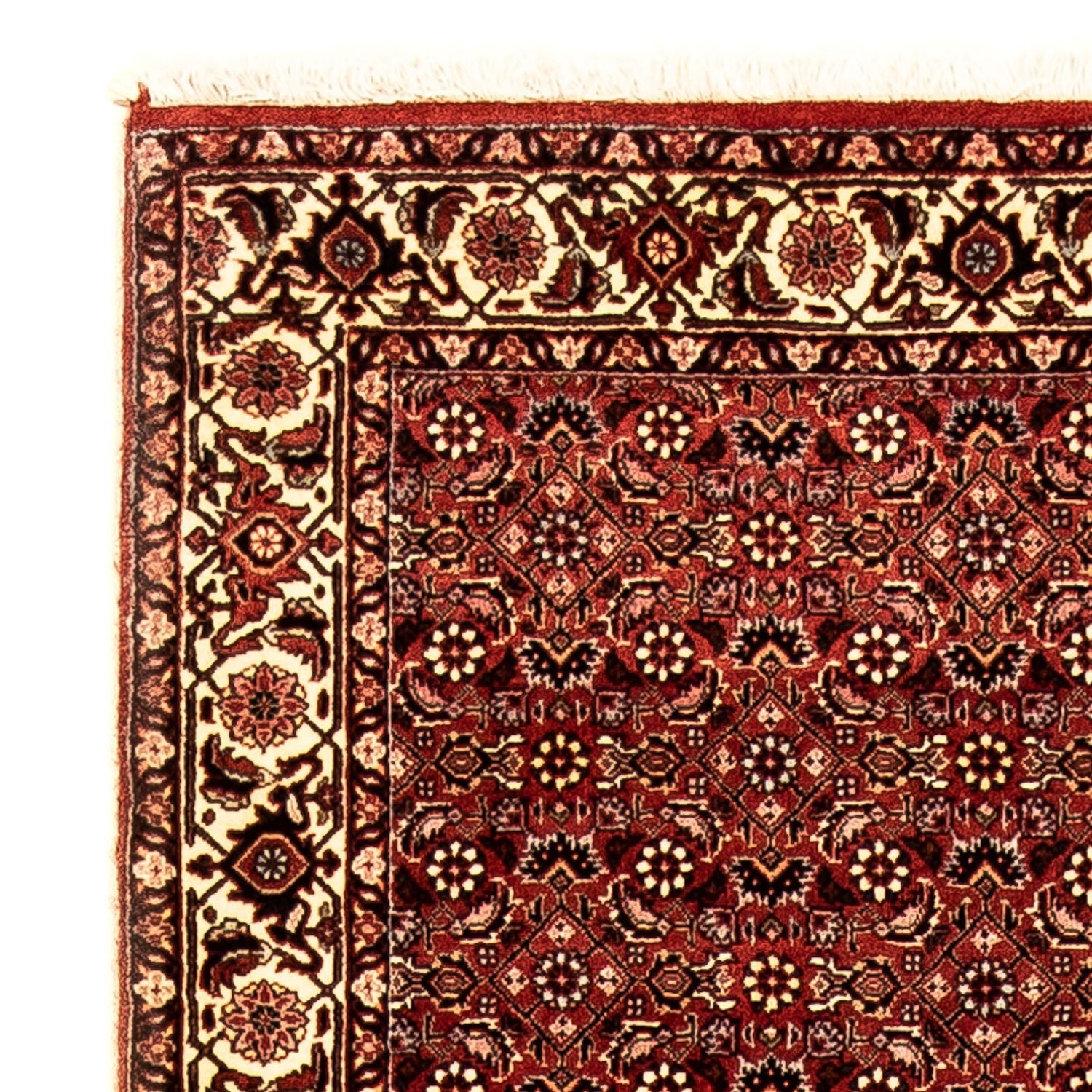 Alfombra de pasillo Alfombra persa - Bidjar - 298 x 82 cm - multicolor