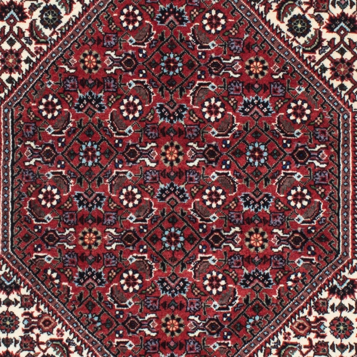 Alfombra de pasillo Alfombra persa - Bidjar - 218 x 76 cm - beige