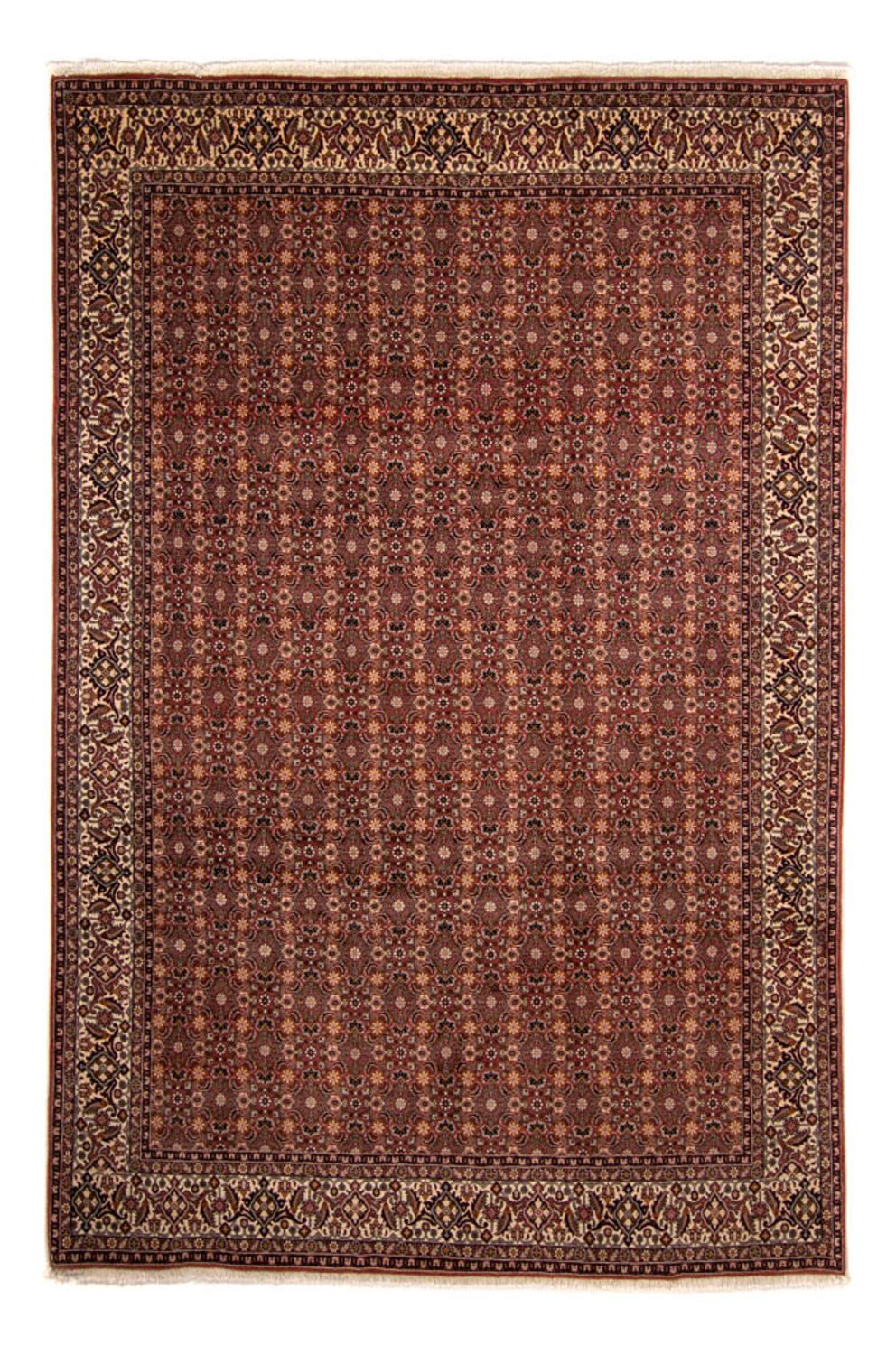 Alfombra persa - Bidjar - 352 x 252 cm - marrón
