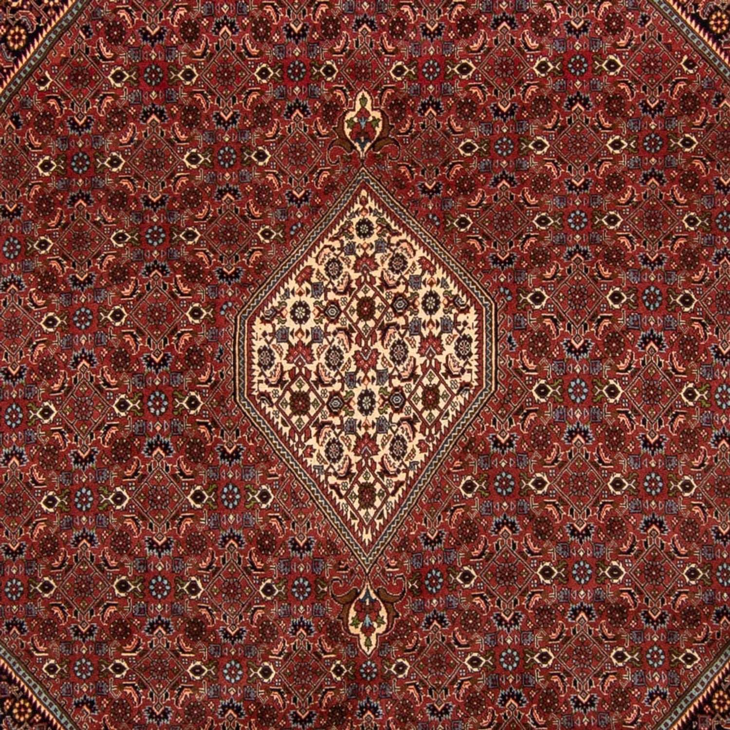 Alfombra persa - Bidjar - 329 x 255 cm - marrón