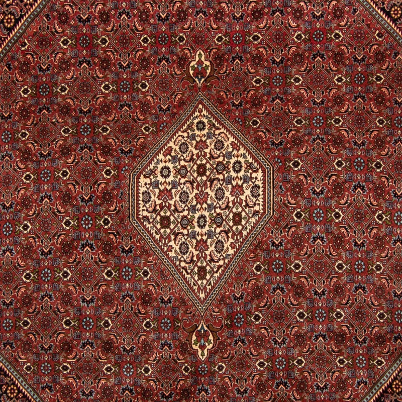 Alfombra persa - Bidjar - 329 x 255 cm - marrón