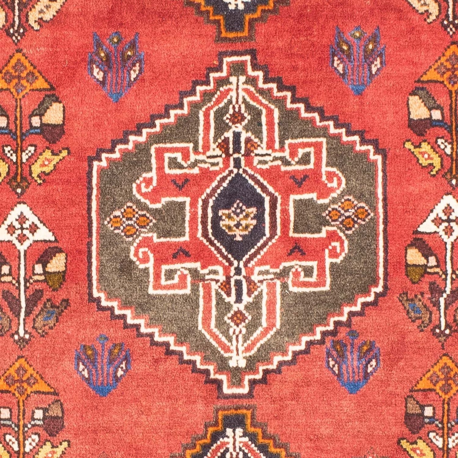 Alfombra de pasillo Alfombra persa - Nómada - 164 x 80 cm - rojo oscuro