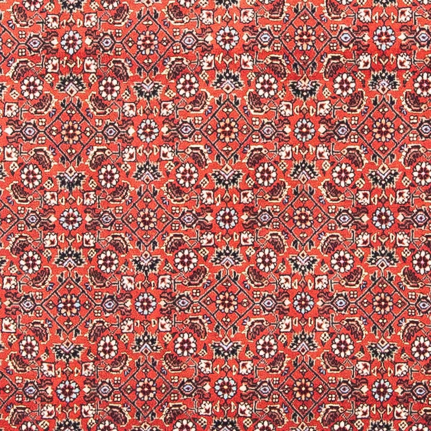Alfombra persa - Bidjar cuadrado  - 97 x 95 cm - rojo