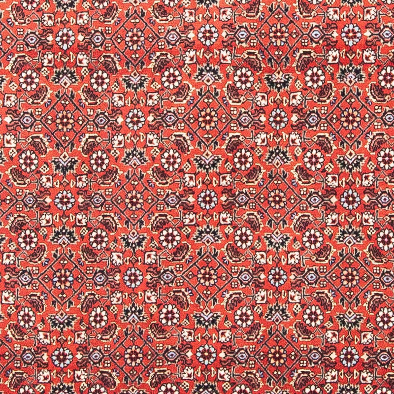Alfombra persa - Bidjar cuadrado  - 97 x 95 cm - rojo