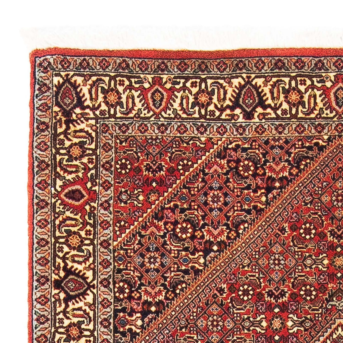 Alfombra persa - Bidjar - 153 x 89 cm - rojo