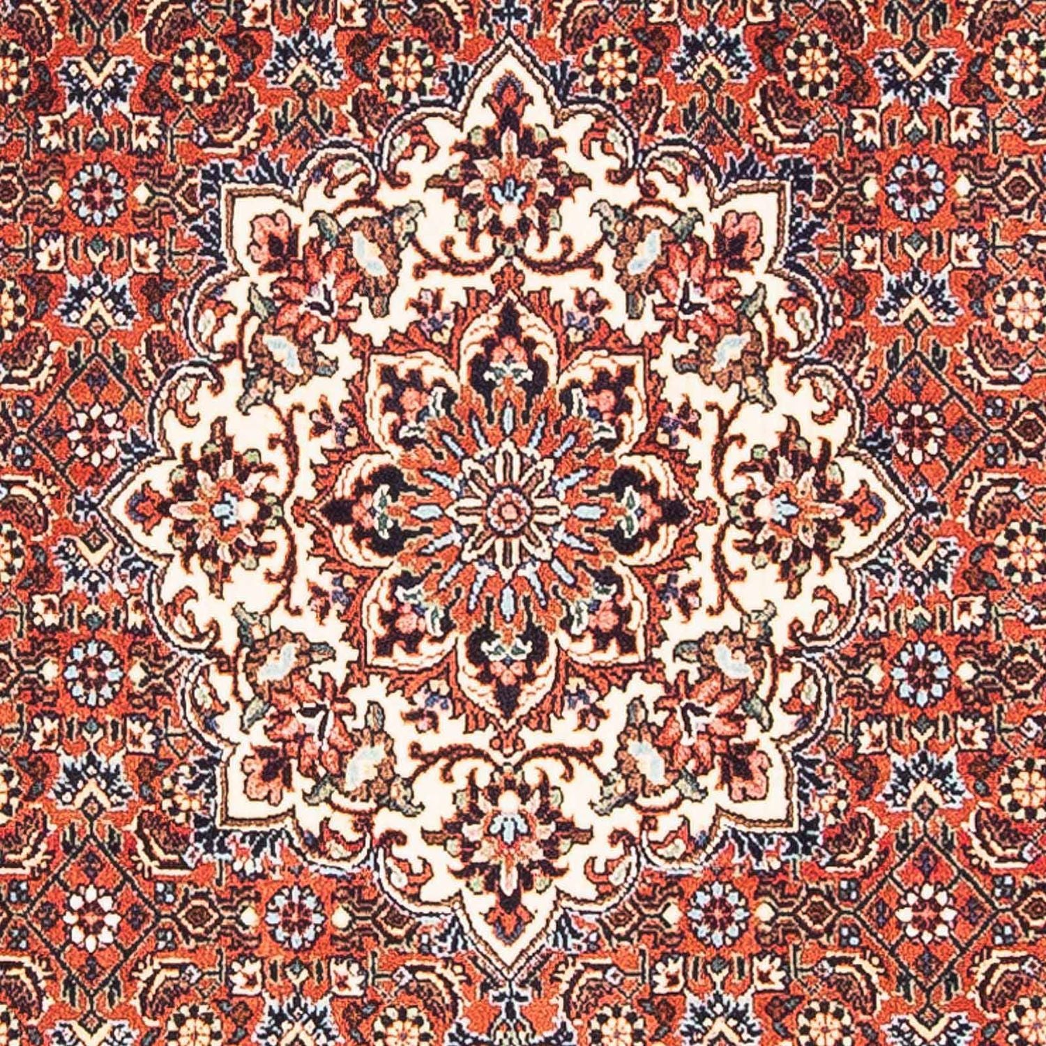 Alfombra persa - Bidjar - 148 x 88 cm - rojo