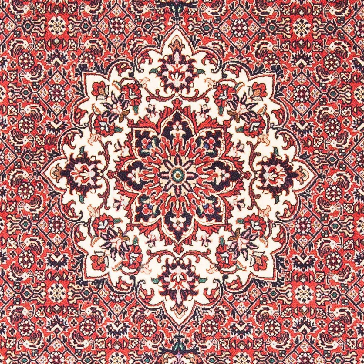 Alfombra persa - Bidjar - 148 x 91 cm - rojo