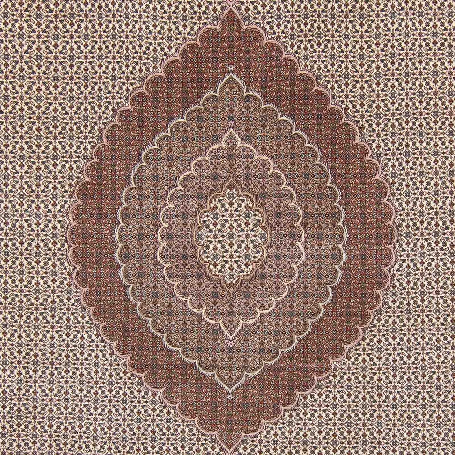 Alfombra persa - Tabriz - 348 x 255 cm - marrón