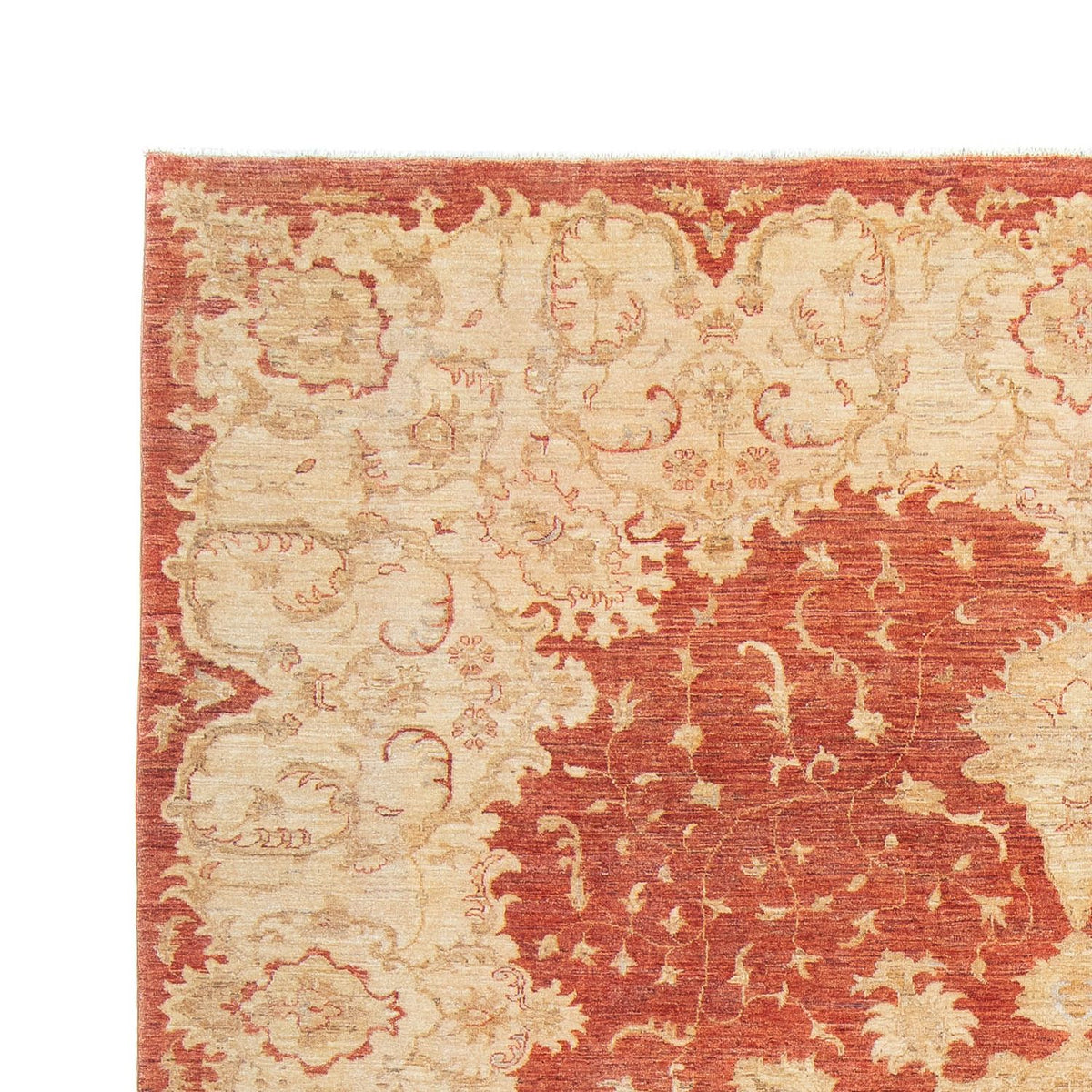 Alfombra Ziegler 271x355cm - Alfombra oriental