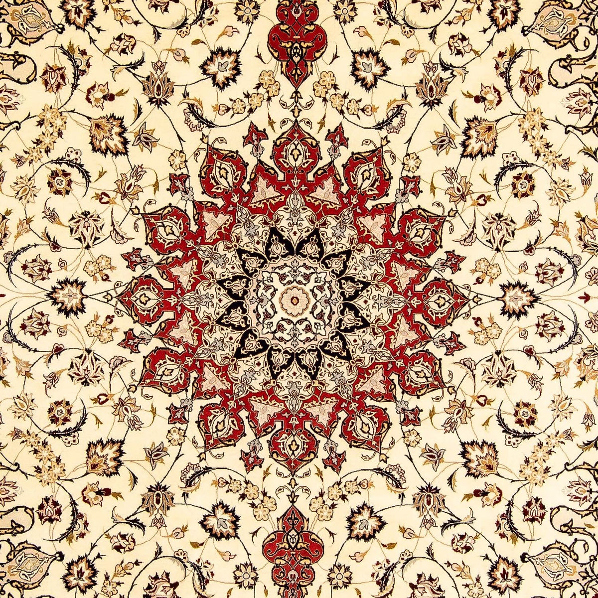 Alfombra Persa - Tabriz - Real - 348 x 254 cm - beige