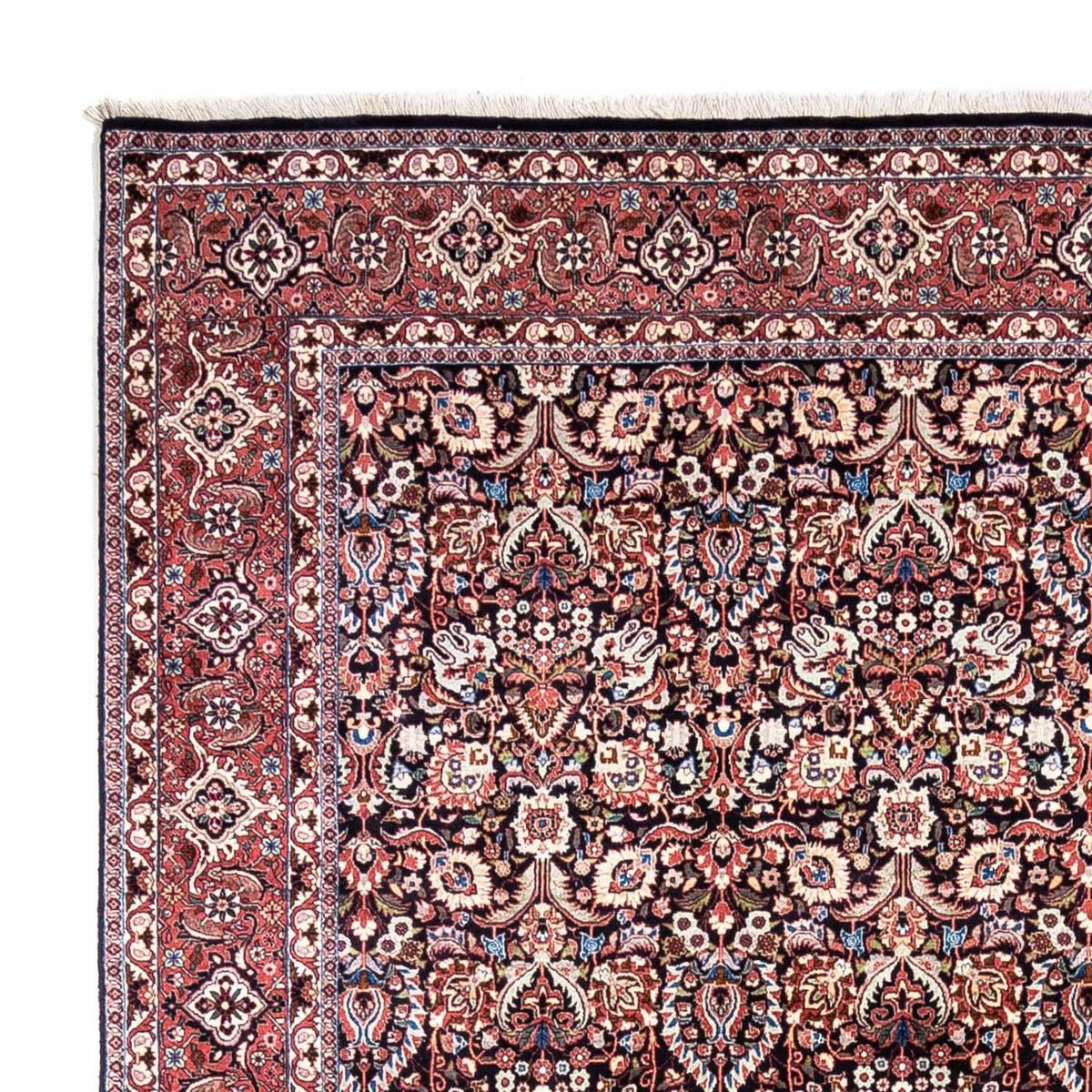 Bidjar - Takab Alfombra 258x348cm - Alfombra persa