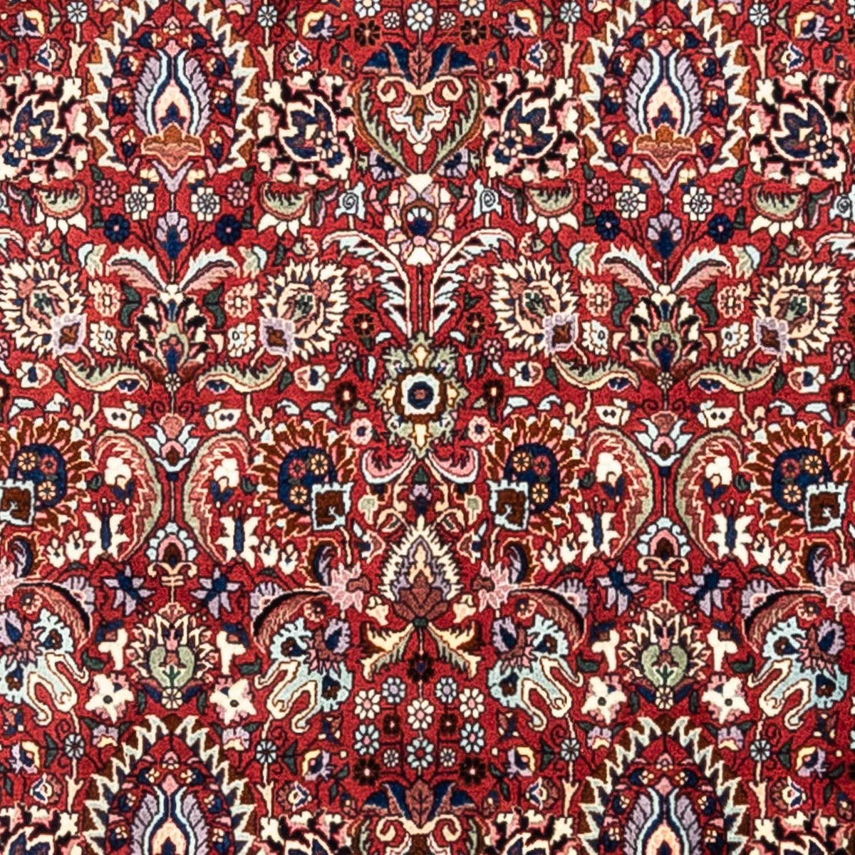 Alfombra persa - Bidjar - 343 x 255 cm - rojo