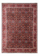 Bidjar - Takab Alfombra 256x342cm - Alfombra persa