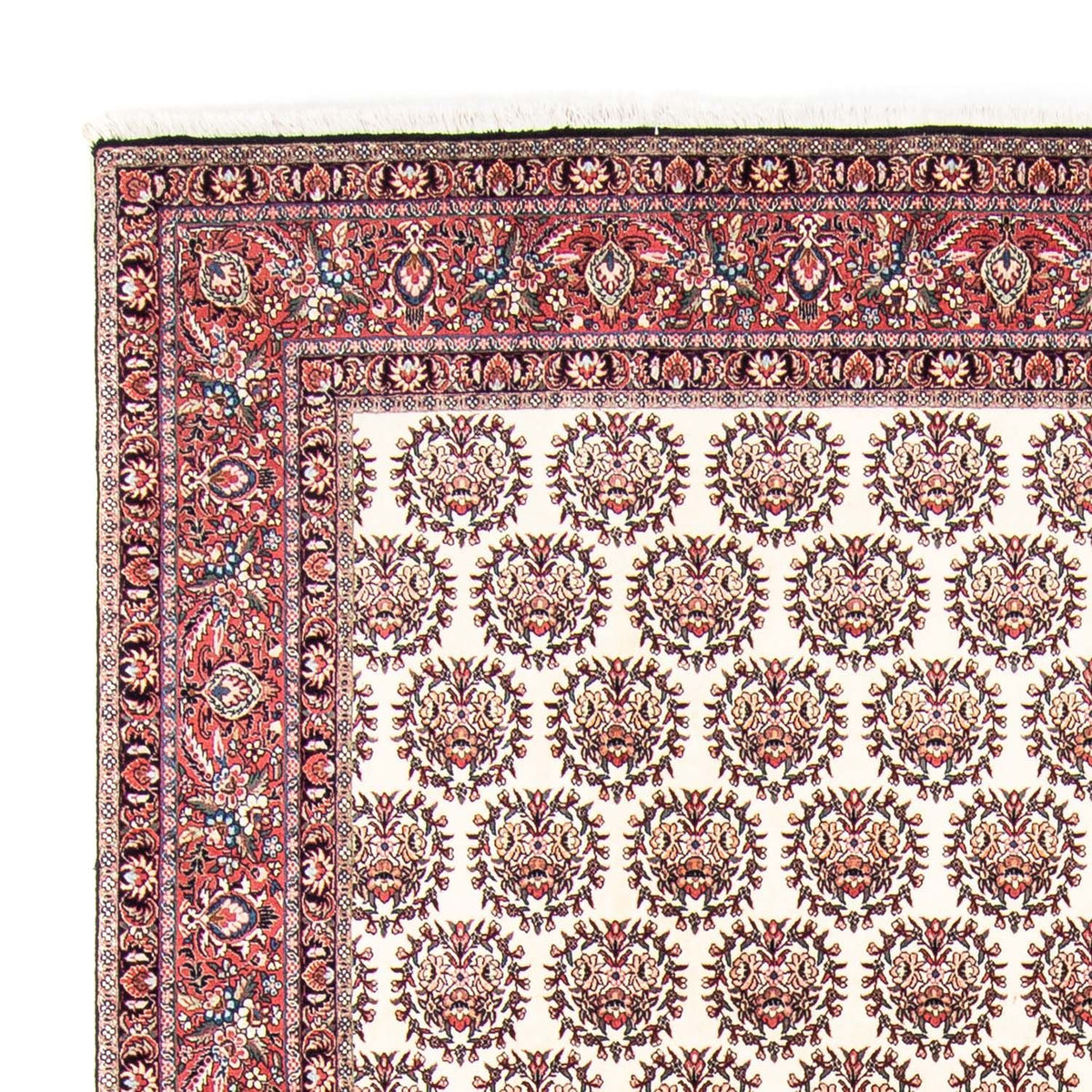 Alfombra persa - Bidjar - 353 x 253 cm - beige