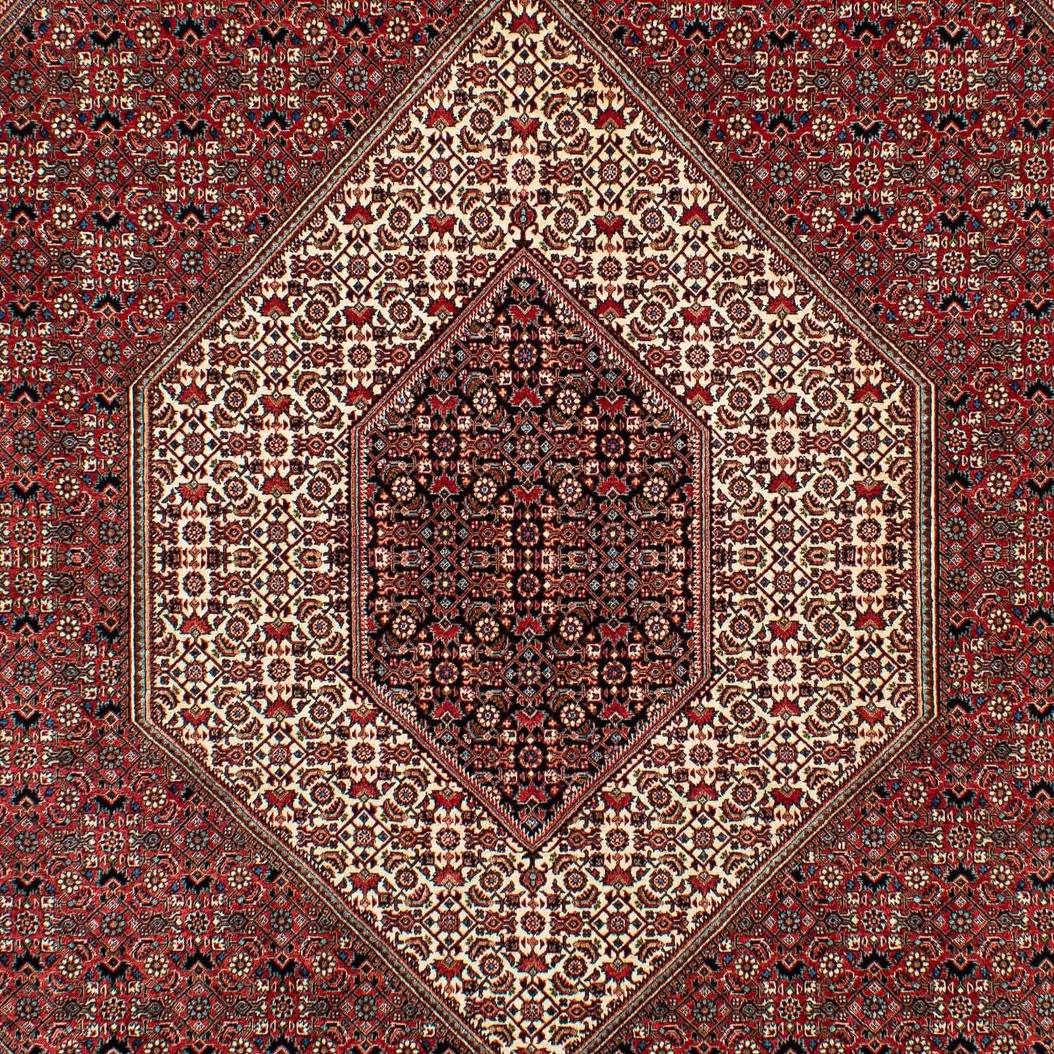 Alfombra persa - Bidjar - 305 x 203 cm - rojo oscuro