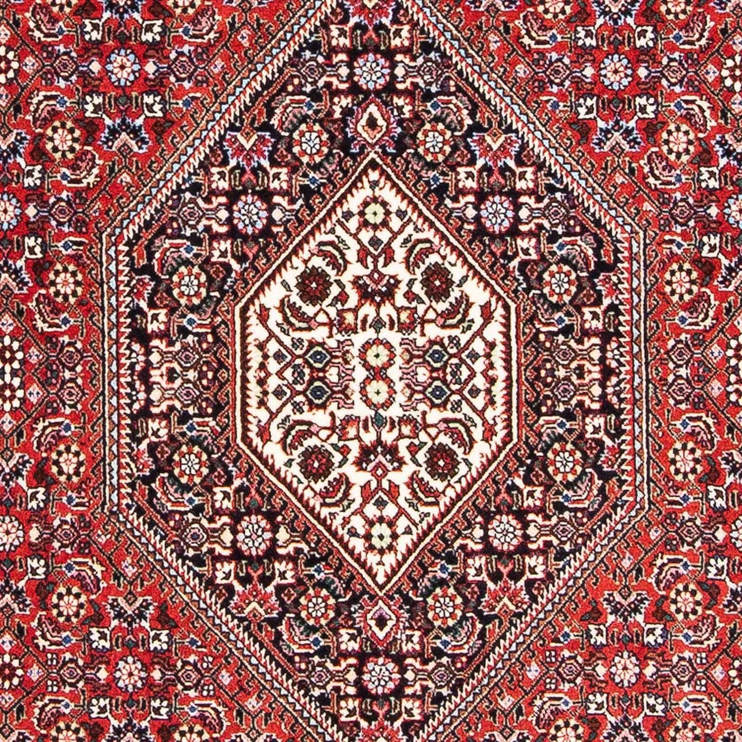 Alfombra persa - Bidjar - 173 x 111 cm - rojo claro