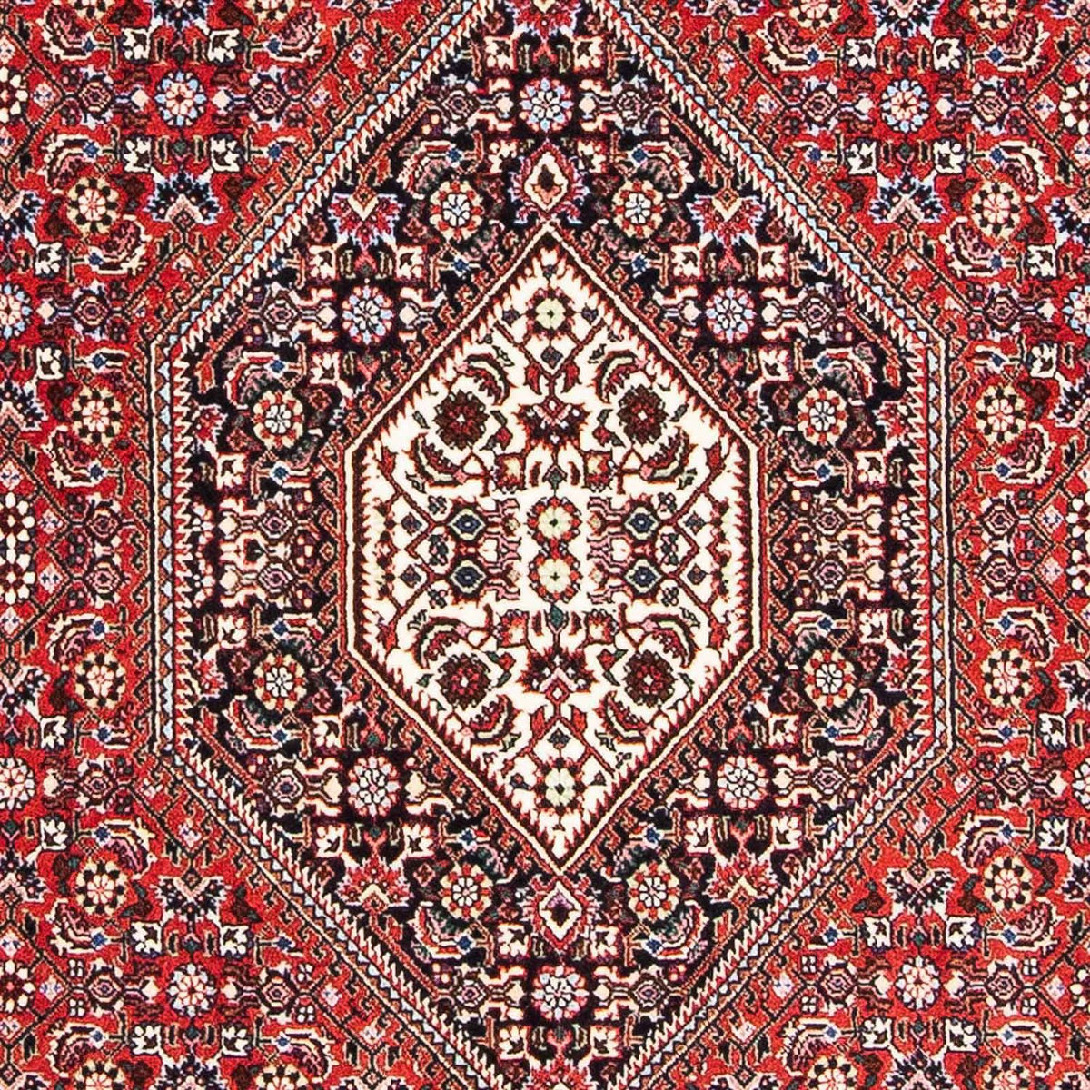 Alfombra persa - Bidjar - 173 x 111 cm - rojo claro