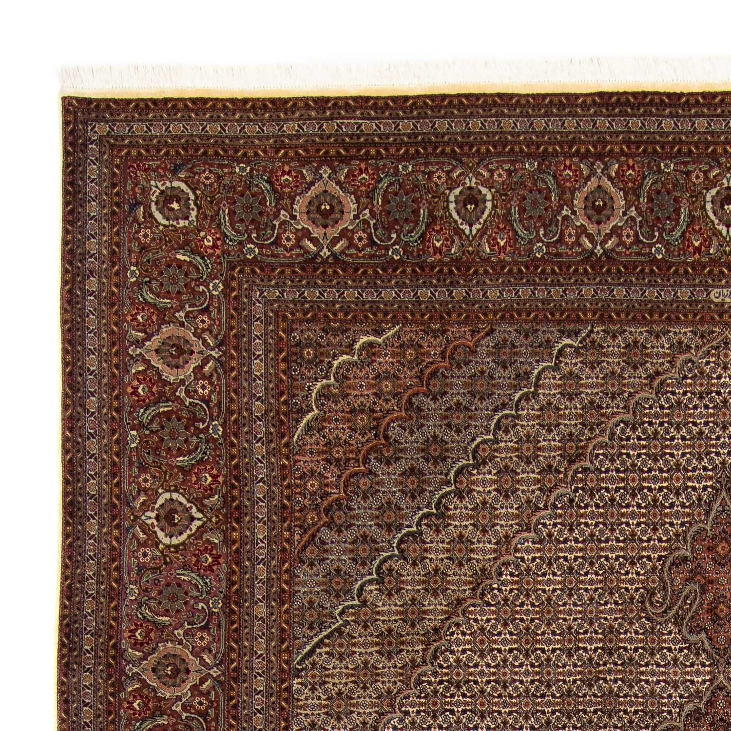 Alfombra persa - Tabriz - 353 x 245 cm - marrón
