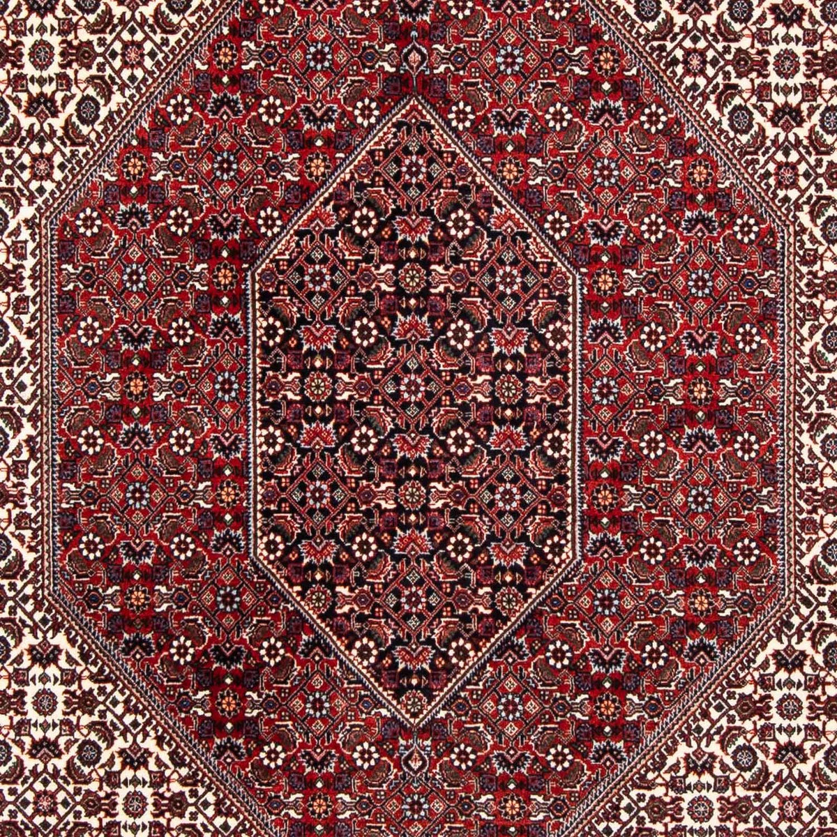 Alfombra persa - Bidjar - 241 x 170 cm - rojo oscuro