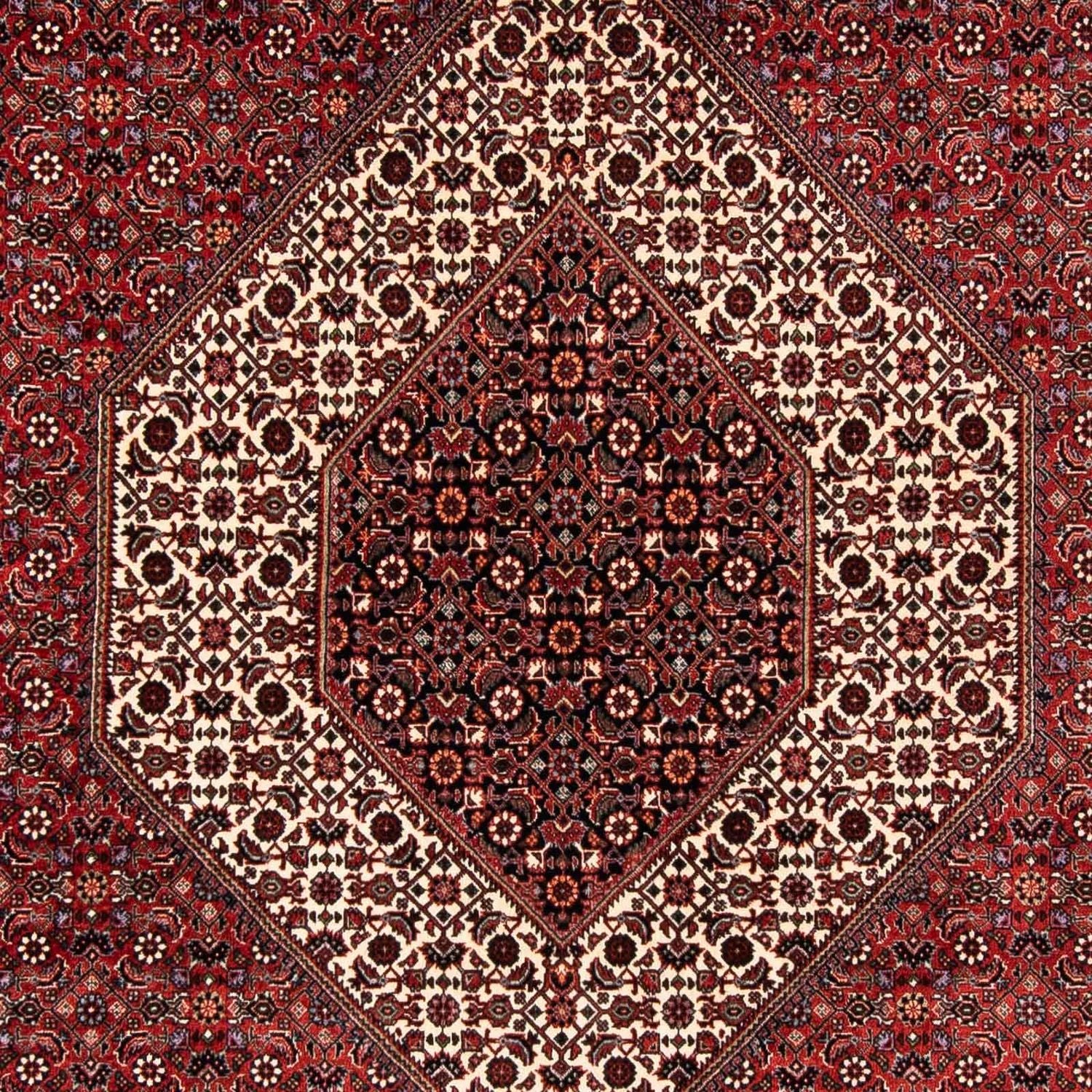 Alfombra persa - Bidjar - 254 x 174 cm - rojo oscuro