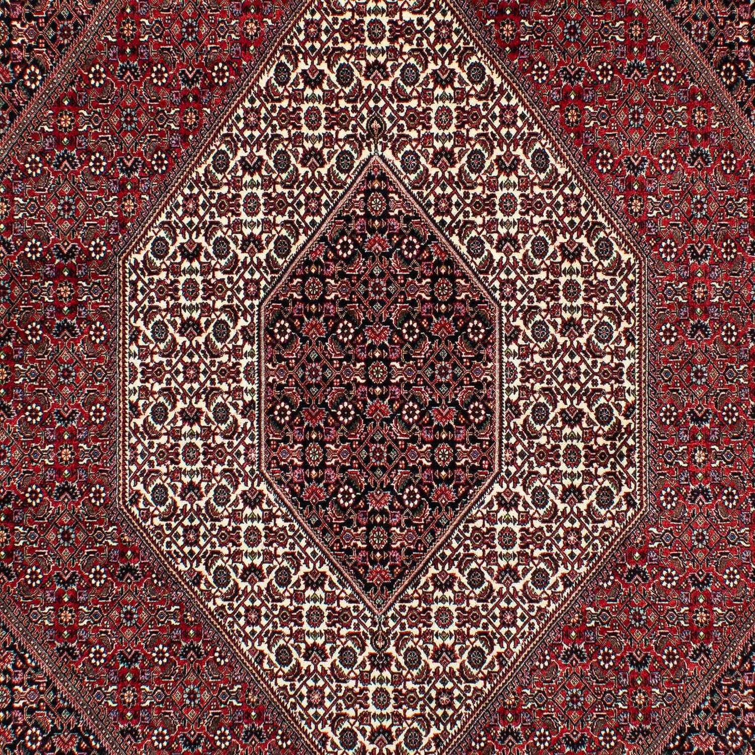 Alfombra persa - Bidjar - 305 x 203 cm - rojo oscuro