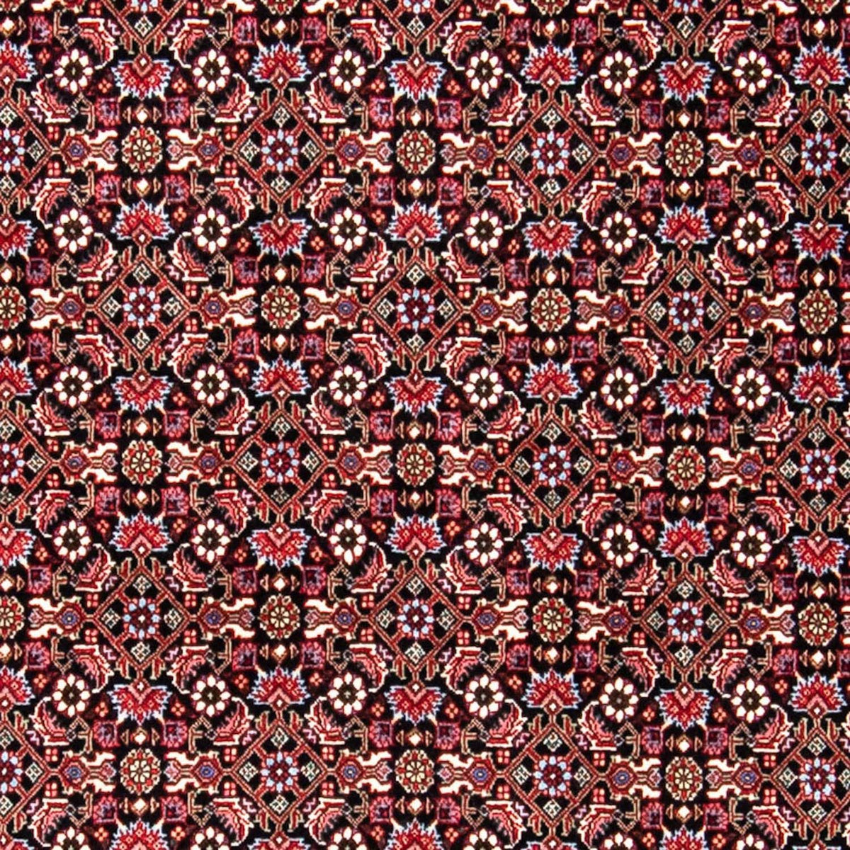 Alfombra persa - Bidjar - 250 x 168 cm - rojo