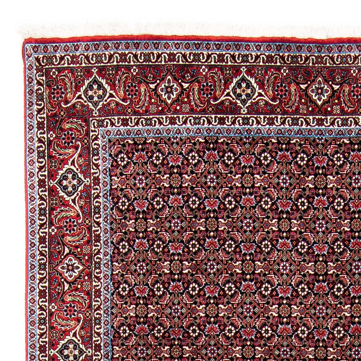 Alfombra persa - Bidjar - 250 x 168 cm - rojo