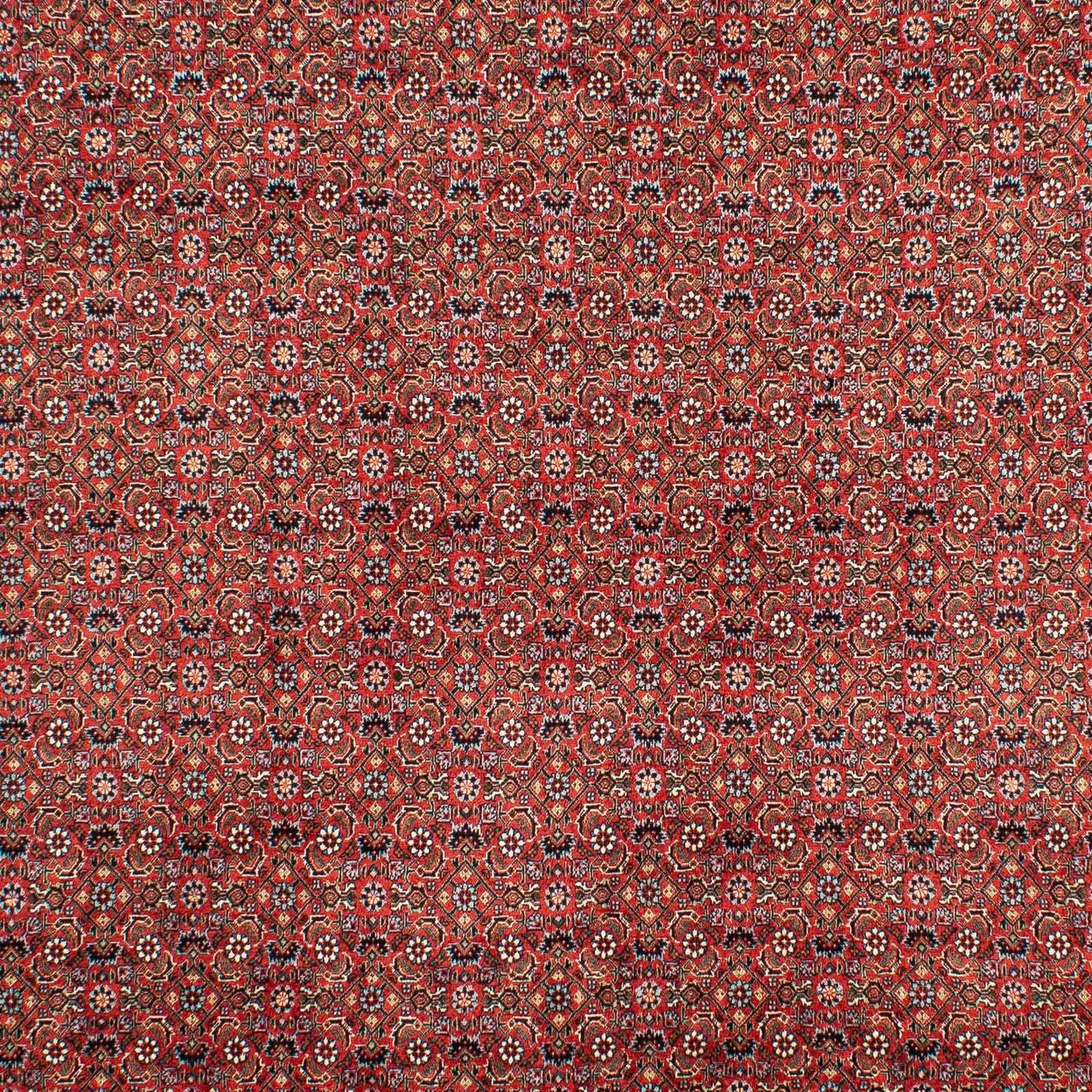 Alfombra persa - Bidjar - 307 x 208 cm - rojo oscuro