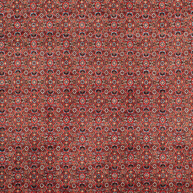 Alfombra persa - Bidjar - 307 x 208 cm - rojo oscuro