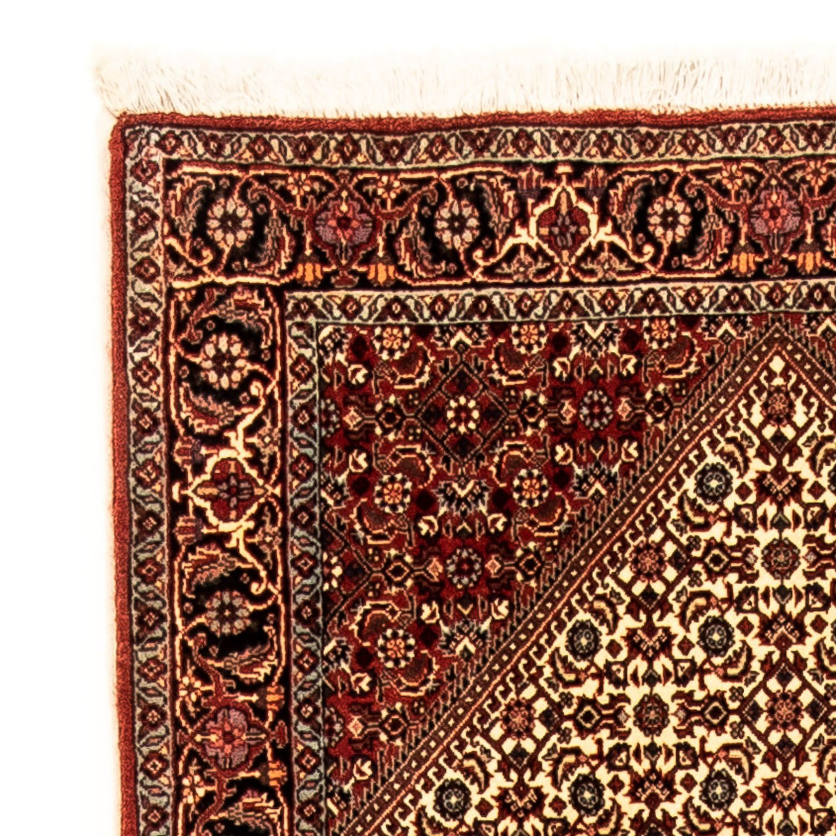 Alfombra de pasillo Alfombra persa - Bidjar - 308 x 85 cm - multicolor